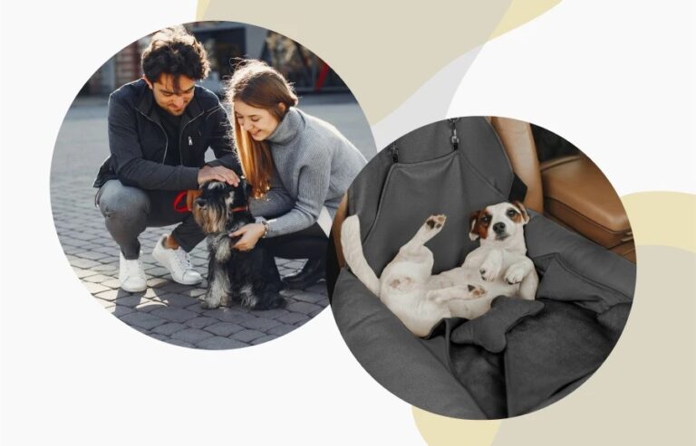 A collage featuring a couple petting their small dog outdoors in one circle, and a relaxed dog lounging in a booster car seat in the other circle