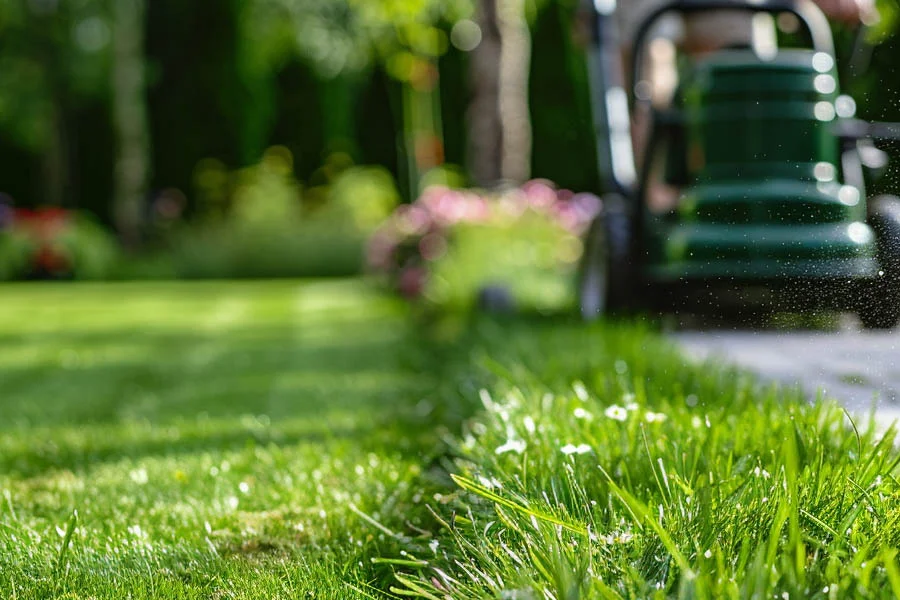 cordless battery lawn mower