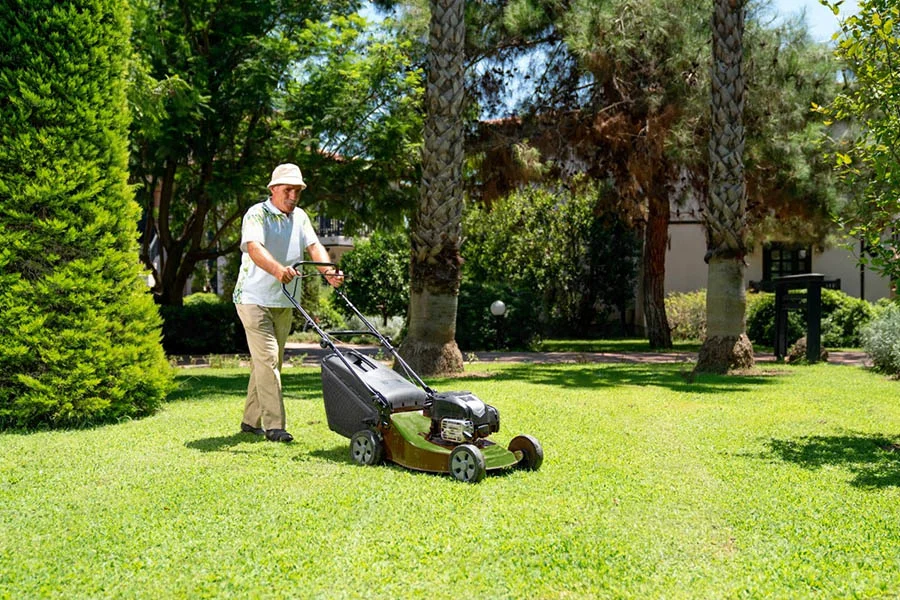 small electric push mower